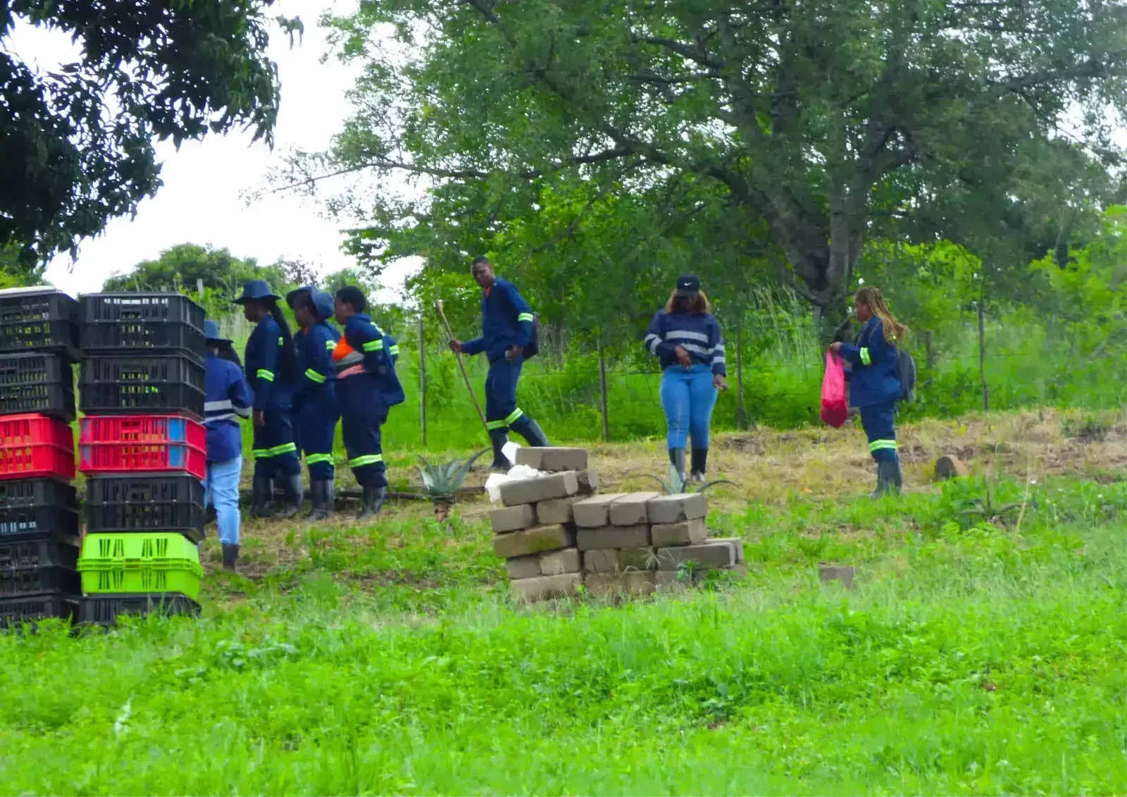 JumpStart participants working on a community project outdoors.